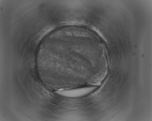 X0000089681213200707121240