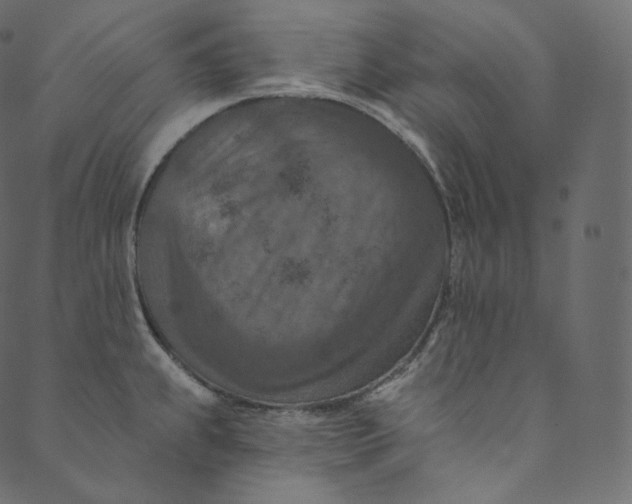 X0000089681239200707121241