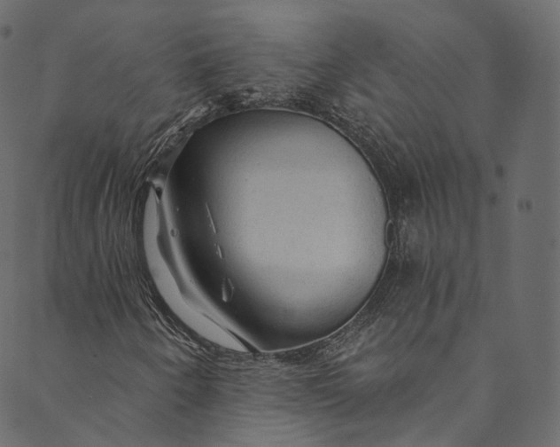 X0000089681250200707121240