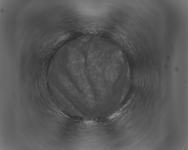 X0000089681297200707121239