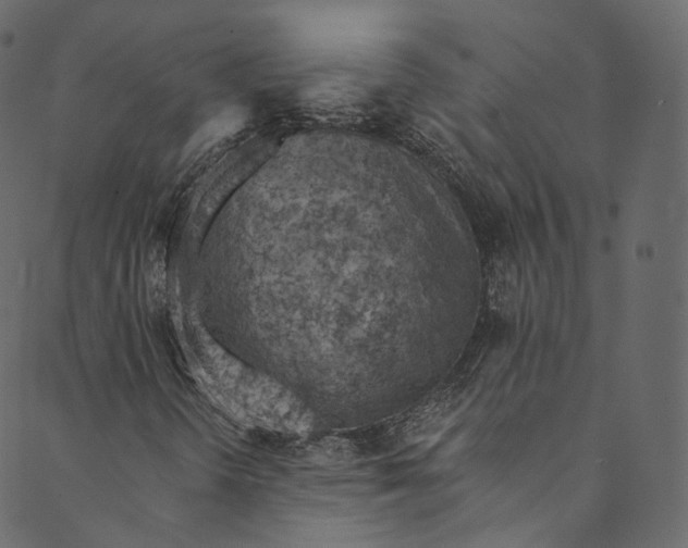 X0000089681298200707121239