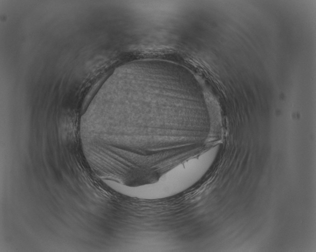 X0000089681300200707121239