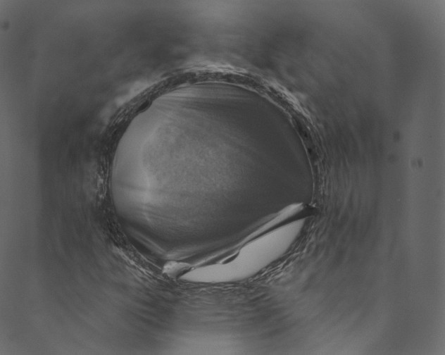 X0000089681303200707121239