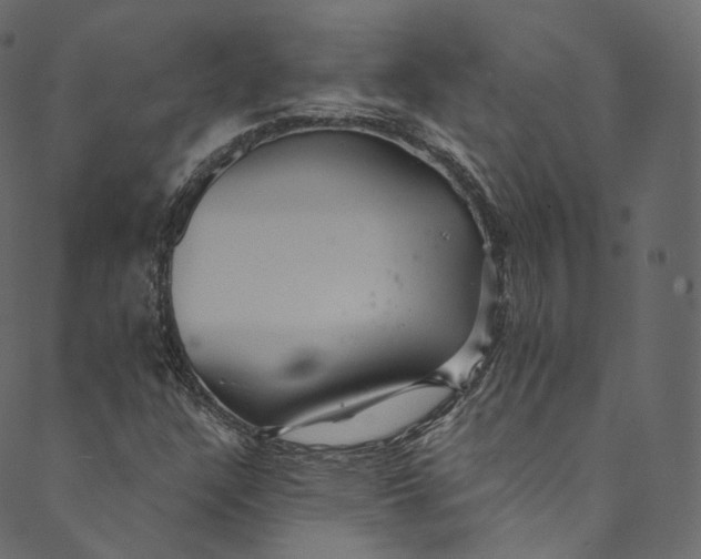 X0000089681304200707121239