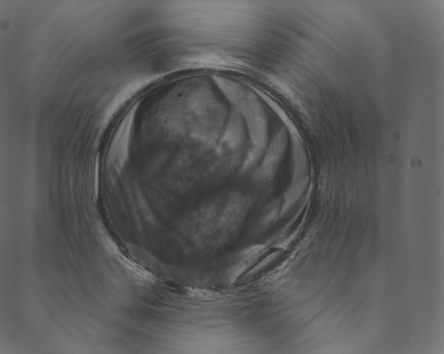 X0000089681323200707121239