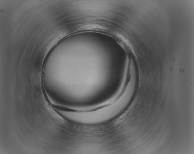 X0000089681330200707121239