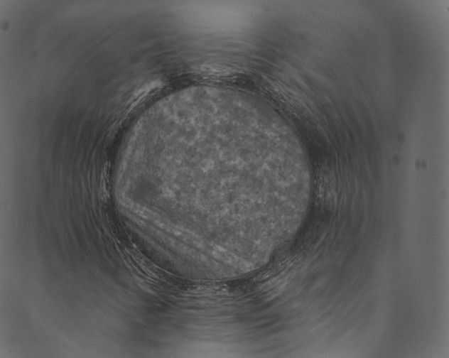 X0000089681346200707121239