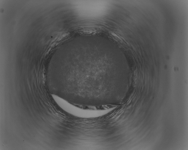 X0000089681394200707121237
