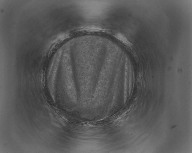 X0000089681398200707121237