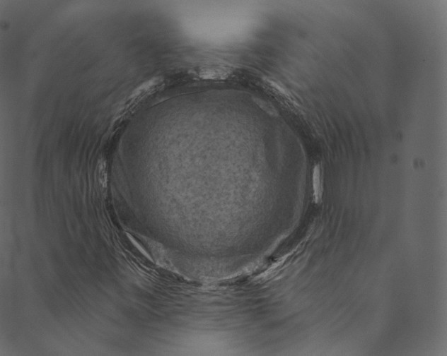 X0000089681443200707121237