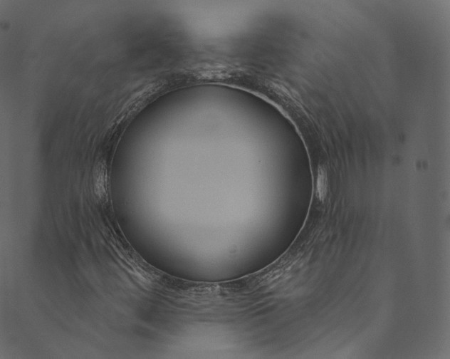 X0000089681444200707121237