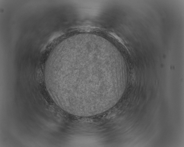 X0000089681446200707121237