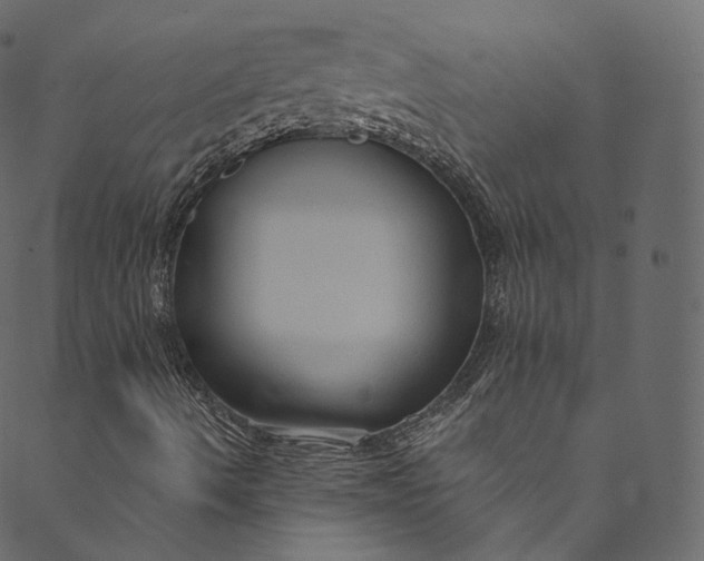 X0000089681490200707121235