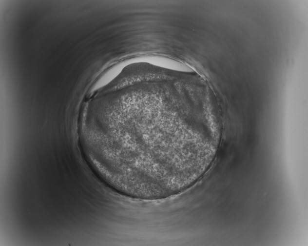 X0000089680002200707201709