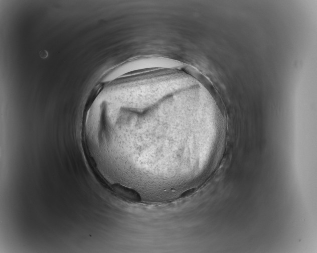 X0000089680003200707201709