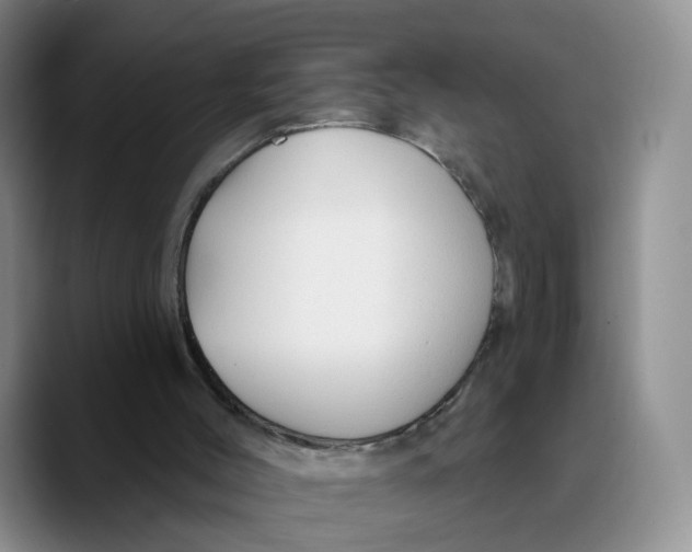 X0000089680004200707201709