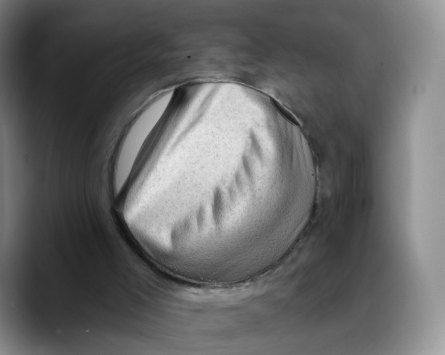 X0000089680005200707201709