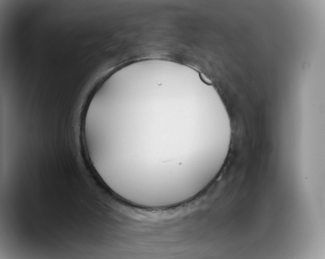X0000089680006200707201709