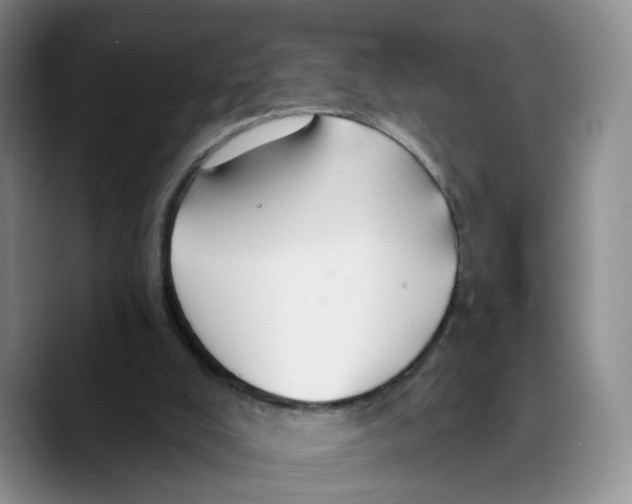 X0000089680008200707201709
