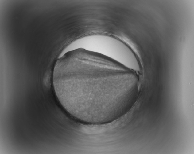 X0000089680009200707201709