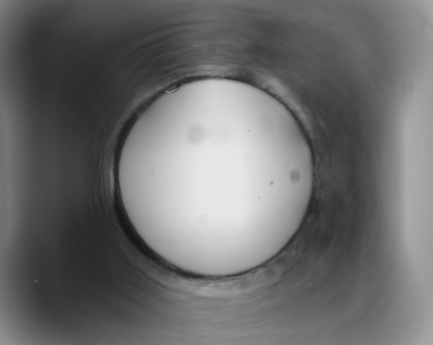 X0000089680011200707201709