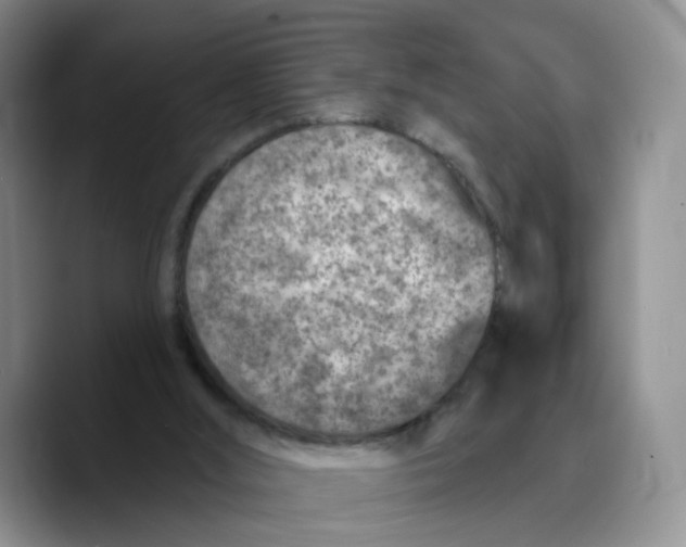 X0000089680012200707201709