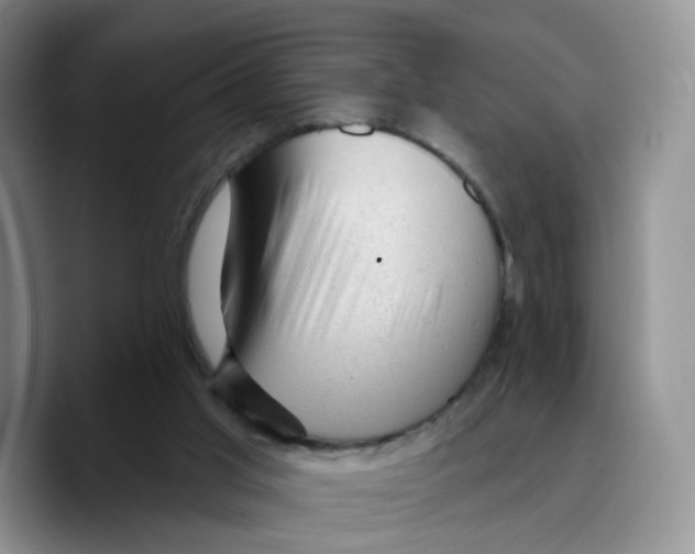 X0000089680013200707201709