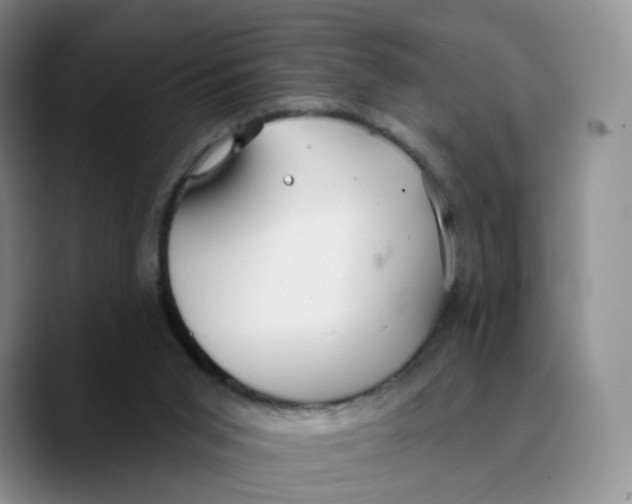 X0000089680015200707201709