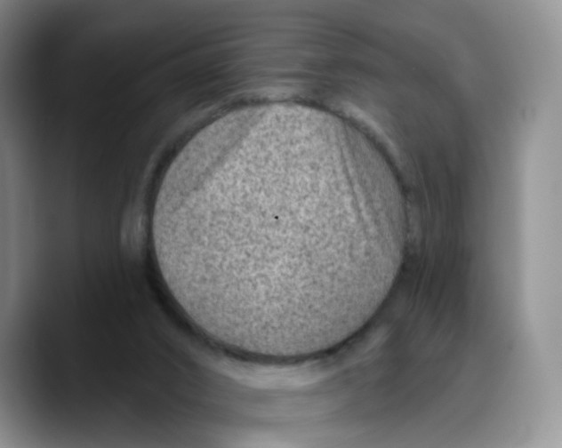 X0000089680016200707201709