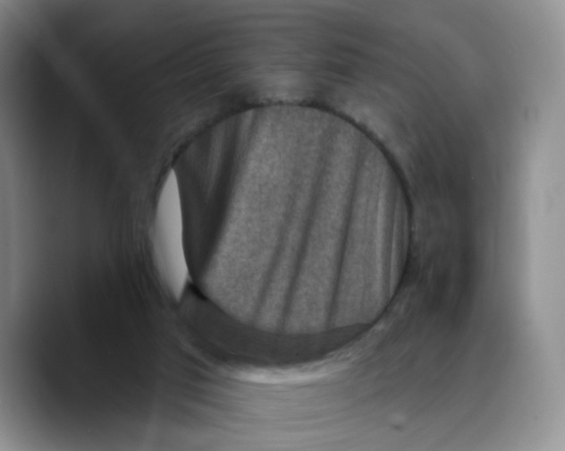 X0000089680017200707201709