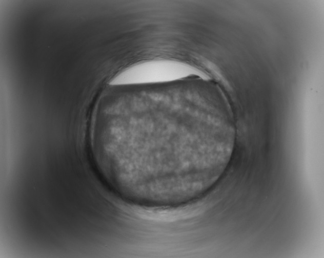 X0000089680018200707201709