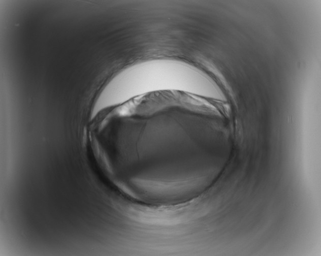 X0000089680019200707201709