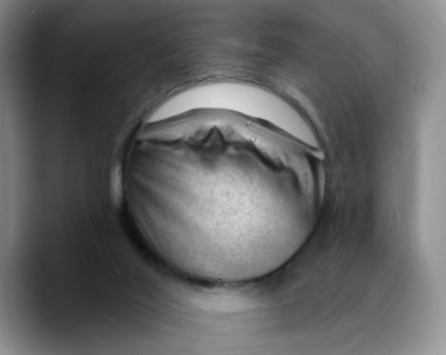 X0000089680020200707201709