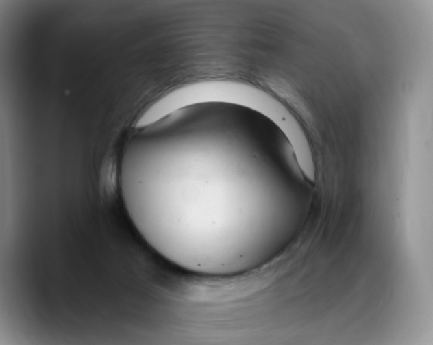 X0000089680021200707201709