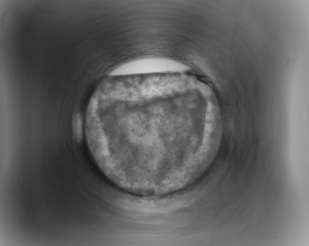 X0000089680022200707201709