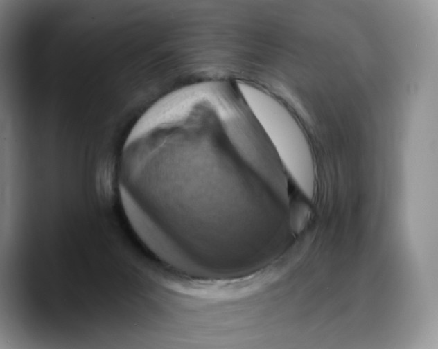 X0000089680023200707201709