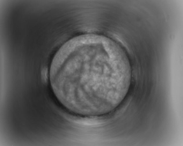 X0000089680024200707201709