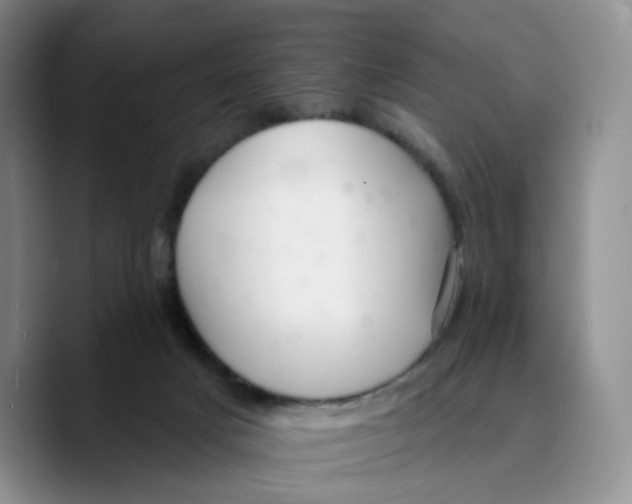 X0000089680025200707201709