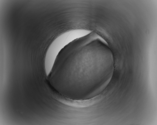X0000089680027200707201709