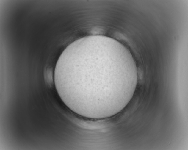 X0000089680028200707201709