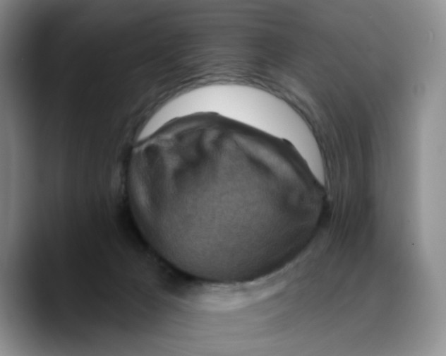 X0000089680029200707201709