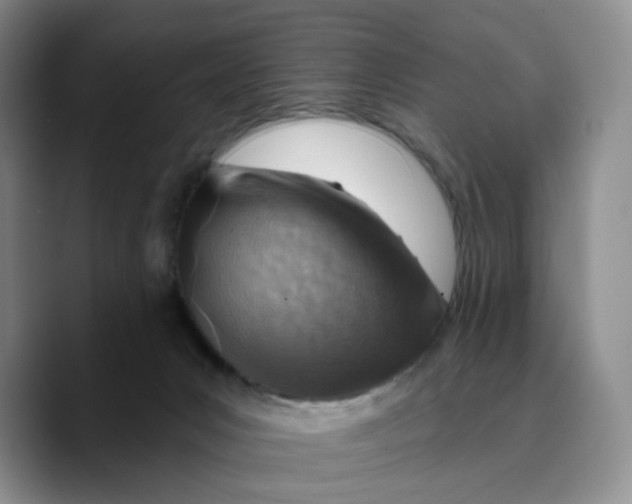 X0000089680031200707201709