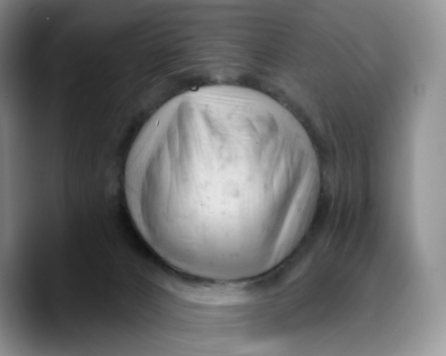 X0000089680032200707201709