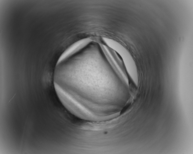 X0000089680033200707201709