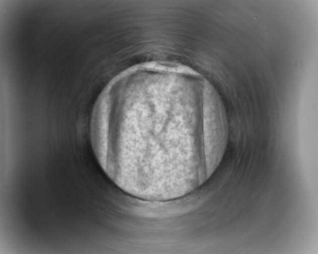 X0000089680034200707201709