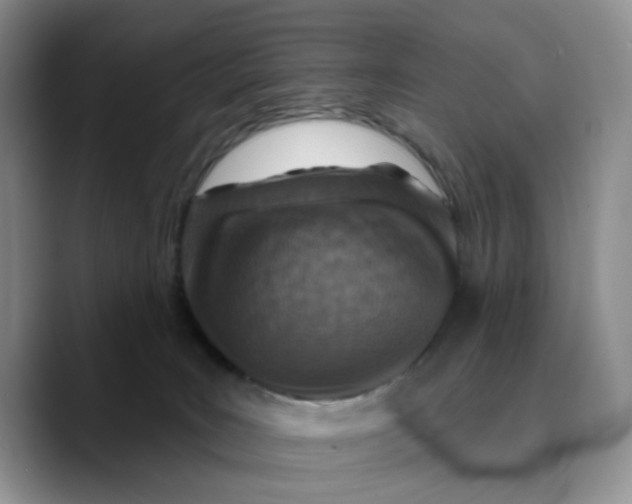 X0000089680035200707201709