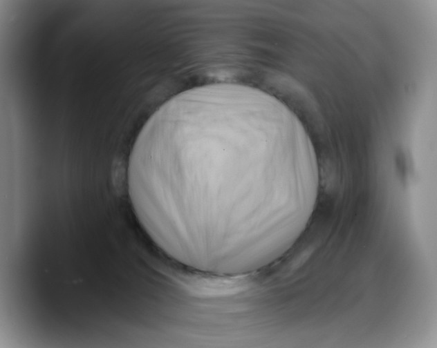 X0000089680036200707201709