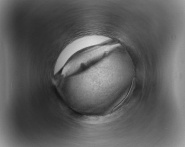 X0000089680037200707201709