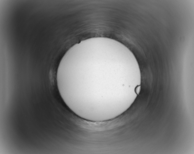X0000089680038200707201709