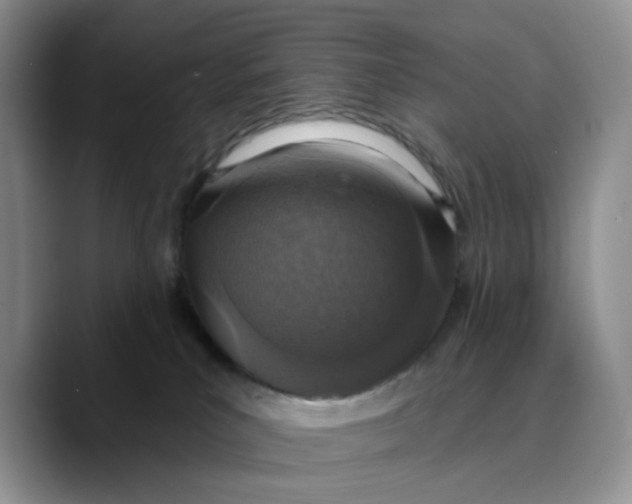 X0000089680039200707201709